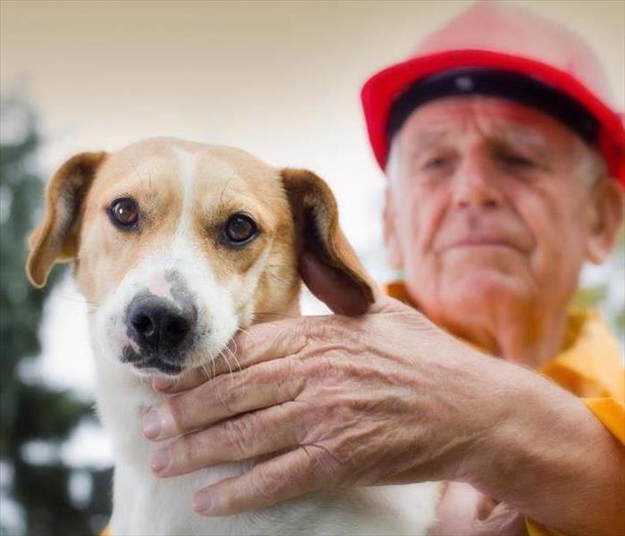 Dog held by an old man who is a wearing a safety helmet. 